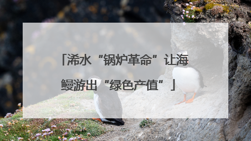 浠水“锅炉革命”让海鳗游出“绿色产值”