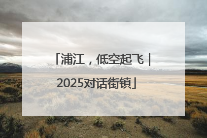 浦江，低空起飞｜2025对话街镇