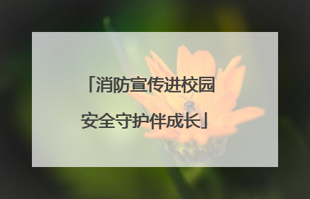 消防宣传进校园 安全守护伴成长