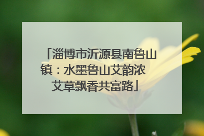 淄博市沂源县南鲁山镇：水墨鲁山艾韵浓 艾草飘香共富路