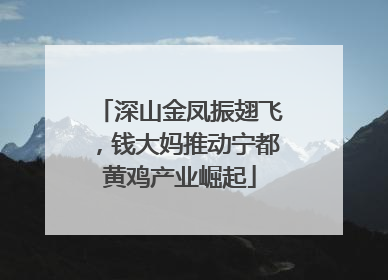 深山金凤振翅飞，钱大妈推动宁都黄鸡产业崛起