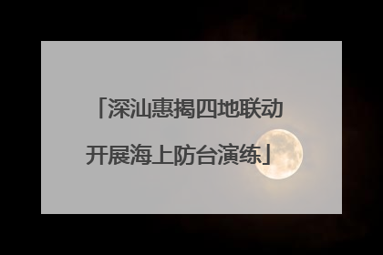 深汕惠揭四地联动开展海上防台演练