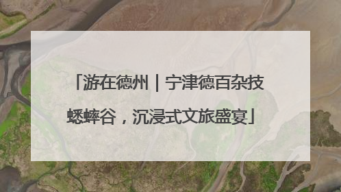 游在德州｜宁津德百杂技蟋蟀谷，沉浸式文旅盛宴