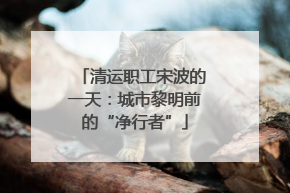 清运职工宋波的一天：城市黎明前的“净行者”