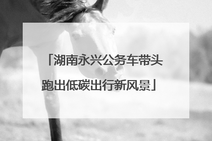 湖南永兴公务车带头跑出低碳出行新风景