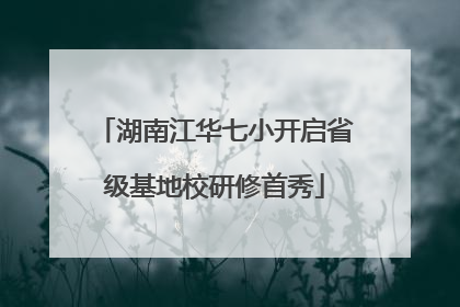 湖南江华七小开启省级基地校研修首秀