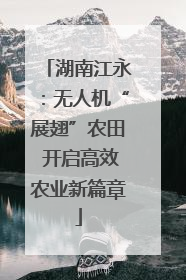 湖南江永：无人机“展翅”农田 开启高效农业新篇章