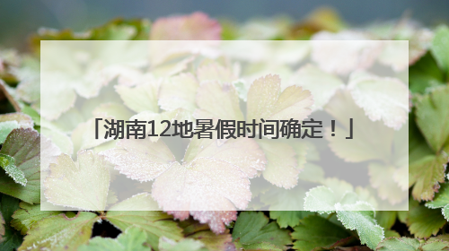 湖南12地暑假时间确定！
