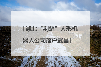 湖北“荆楚”人形机器人公司落户武昌