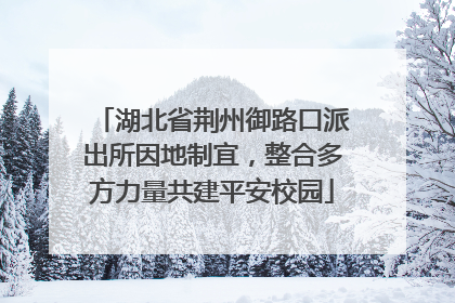 湖北省荆州御路口派出所因地制宜，整合多方力量共建平安校园