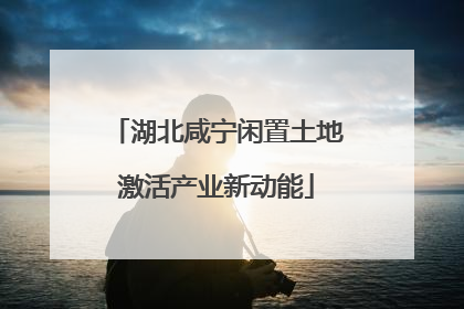 湖北咸宁闲置土地激活产业新动能