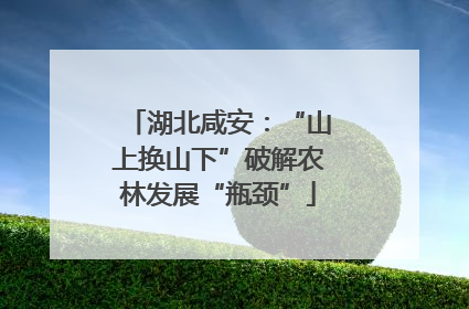 湖北咸安：“山上换山下”破解农林发展“瓶颈”