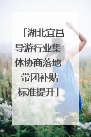 湖北宜昌导游行业集体协商落地 带团补贴标准提升