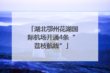 湖北鄂州花湖国际机场开通4条“荔枝航线”
