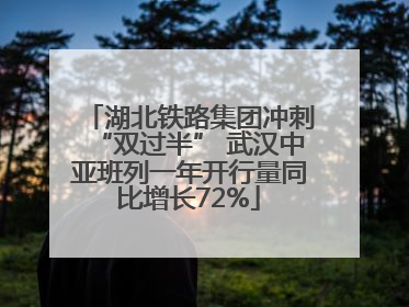 湖北铁路集团冲刺“双过半” 武汉中亚班列一年开行量同比增长72%