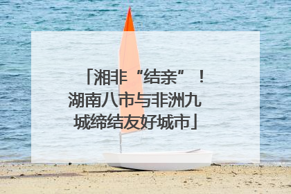 湘非“结亲”！湖南八市与非洲九城缔结友好城市