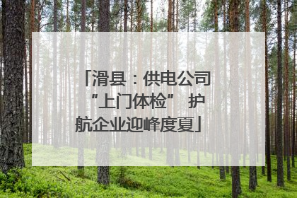 滑县：供电公司“上门体检” 护航企业迎峰度夏