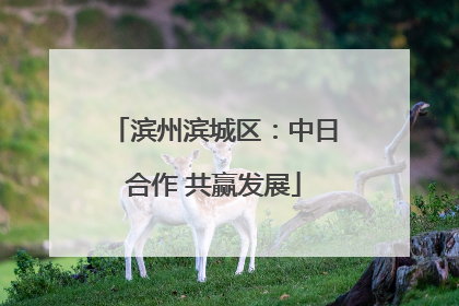 滨州滨城区：中日合作 共赢发展