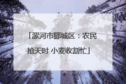漯河市郾城区：农民抢天时 小麦收割忙