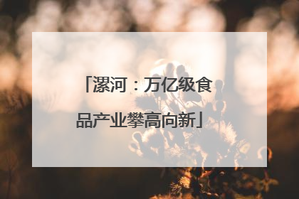 漯河：万亿级食品产业攀高向新