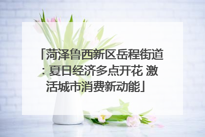 菏泽鲁西新区岳程街道：夏日经济多点开花 激活城市消费新动能
