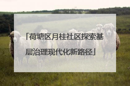 荷塘区月桂社区探索基层治理现代化新路径