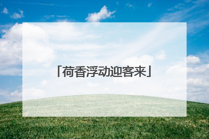 荷香浮动迎客来