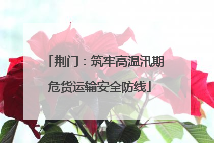 荆门：筑牢高温汛期危货运输安全防线