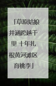 草原姑娘井涵跨越千里 十年扎根黄河滩区育桃李