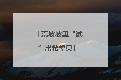 荒坡坡里“试”出希望果