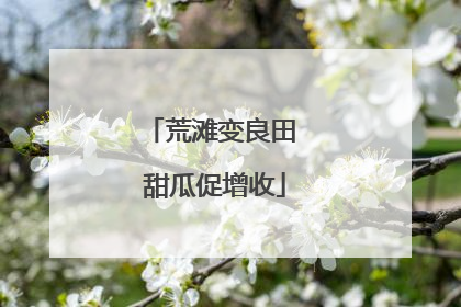 荒滩变良田 甜瓜促增收