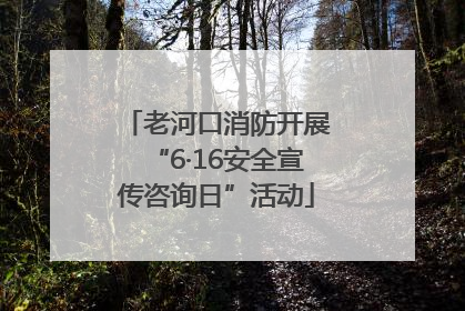 老河口消防开展“6·16安全宣传咨询日”活动