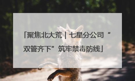 聚焦北大荒｜七星分公司“双管齐下”筑牢禁毒防线