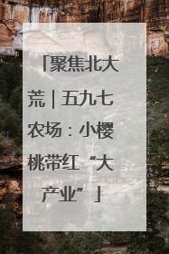 聚焦北大荒｜五九七农场：小樱桃带红“大产业”