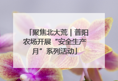 聚焦北大荒｜普阳农场开展“安全生产月”系列活动