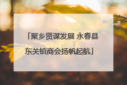 聚乡贤谋发展 永春县东关镇商会扬帆起航