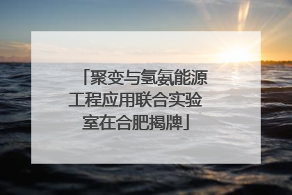 聚变与氢氨能源工程应用联合实验室在合肥揭牌