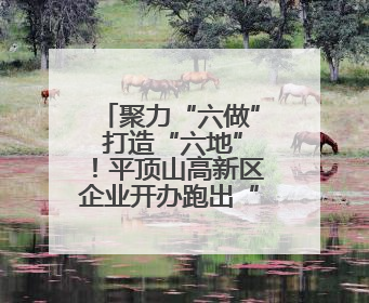 聚力“六做” 打造“六地”！平顶山高新区企业开办跑出“加速度”