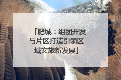 肥城：组团开发与片区打造引领区域文旅新发展