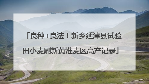 良种+良法！新乡延津县试验田小麦刷新黄淮麦区高产记录