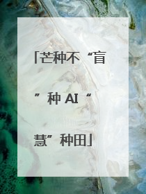 芒种不“盲”种 AI“慧”种田