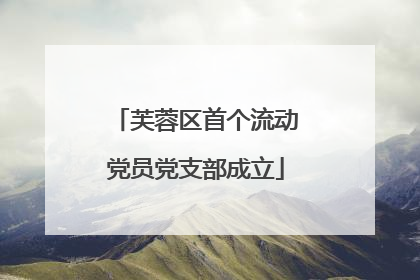 芙蓉区首个流动党员党支部成立