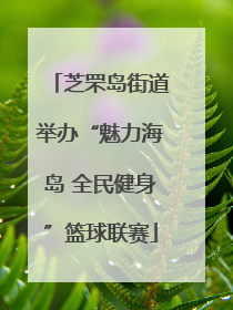 芝罘岛街道举办“魅力海岛 全民健身”篮球联赛