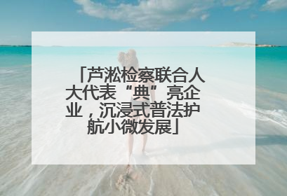 芦淞检察联合人大代表“典”亮企业，沉浸式普法护航小微发展