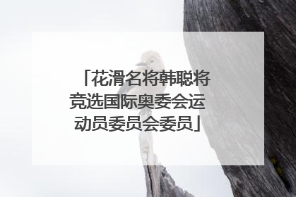 花滑名将韩聪将竞选国际奥委会运动员委员会委员