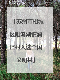 苏州市相城区阳澄湖镇消泾村入选全国文明村