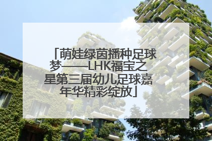 萌娃绿茵播种足球梦——LHK福宝之星第三届幼儿足球嘉年华精彩绽放