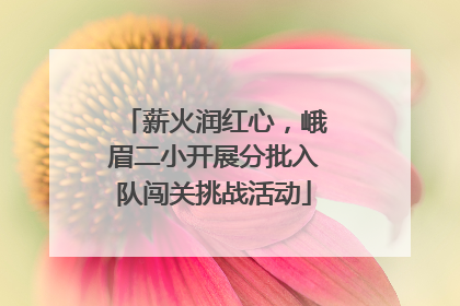 薪火润红心，峨眉二小开展分批入队闯关挑战活动