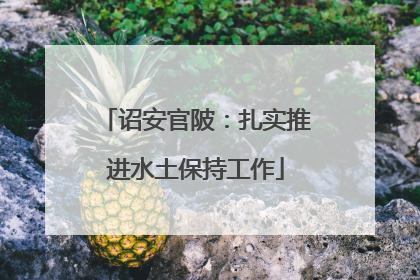 诏安官陂：扎实推进水土保持工作