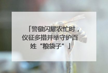 警徽闪耀农忙时，仪征多措并举守护百姓“粮袋子”
